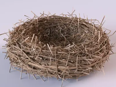 Bird Nest 3D model 2