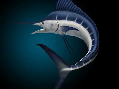 Marlin 3D model buy