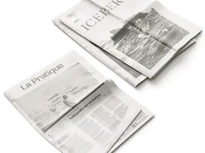 Newspapers 3D model