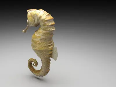 Seahorse 3D model buy