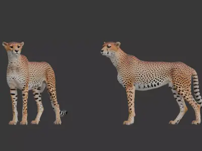 Cheetah Miniature Low-poly 3D model