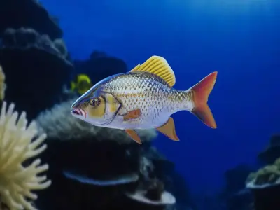 Fish PBR rigging animation Low-poly 3D model