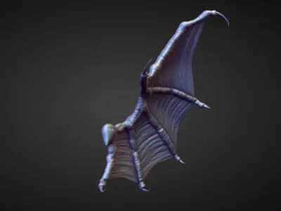 WING41 high poly sculpt 3D model