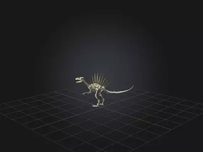 Realistic Spinosaurus Skeleton Model Low-poly 3D model