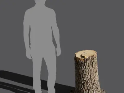 Medium Fresh Cut Deciduous Stump Model 