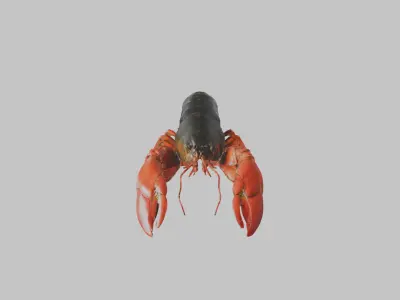 Lobster Low-poly 3D model purchase