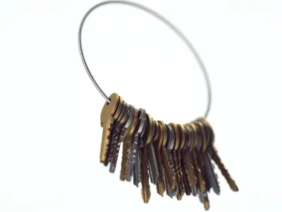 Keys in Big Ring 3D model