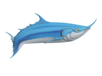 Bluefin tuna Low-poly 3D model purchase