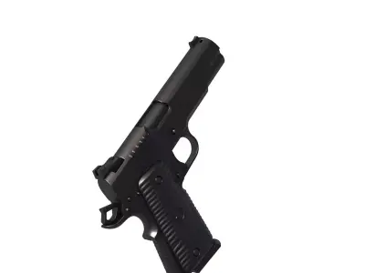 Wilson Combat ACP 3D print model