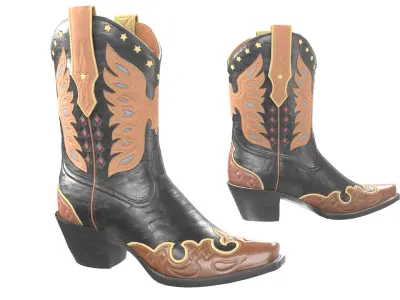 Eagle Star Cowboy Black Boots 3D model