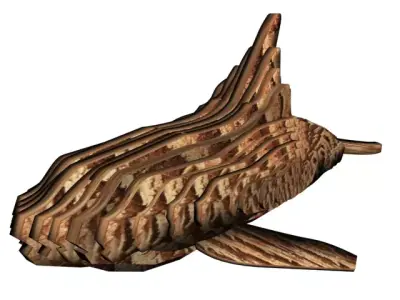 wooden killer whale Free 3D model