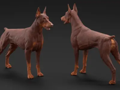 Doberman Dog Brown 3D model