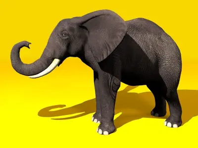 Elephant Rigged and GIFT Low-poly 3D model
