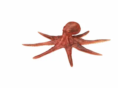  Underwater Animals Big Collection 34 in 1 