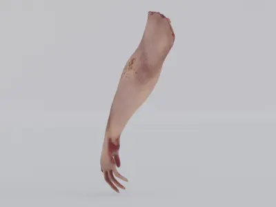 Accident hand Low-poly 3D model