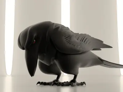 Bird Crow 3D model