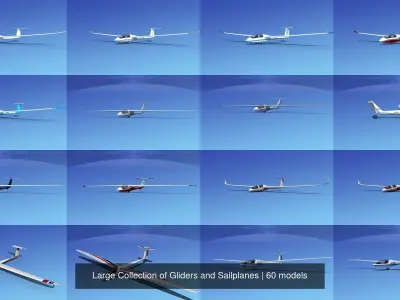 Large Collection of 60 Gliders and Sailplanes 3D Model Pack