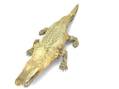 3D Crocodile Rigged Model Low-poly 3D model