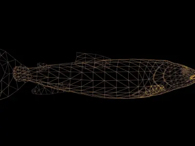 Trout Fish with Swimming Animation Low-poly 3D model