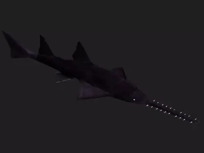 Knifetoothsawfish Low-poly 3D model purchase