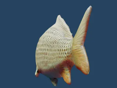 common carp  Low-poly 3D model