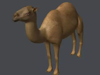 Camel 3D model