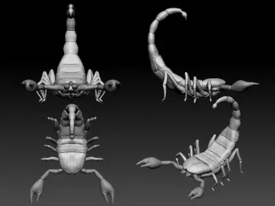 High poly scorpion 3D model
