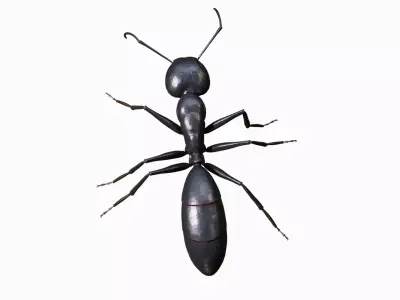 Ant walking game ready model Low-poly 3D model