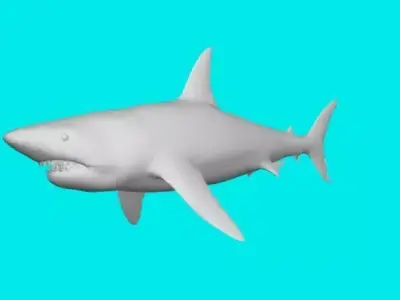 big shark 3D model