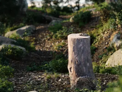  Medium Cut Bare Deciduous Stump Model 