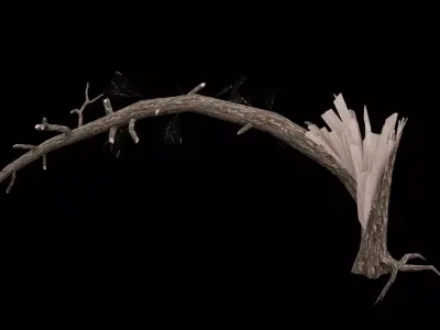 Realistic Snag Tree Low-poly 3D model