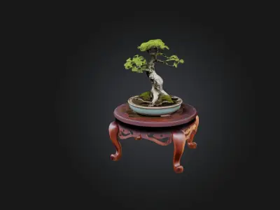 Unique Bonsai Tree Stand Low-poly 3D model