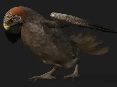 Kestrel B2 3D model