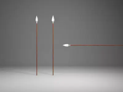 Wooden Spear 3D model