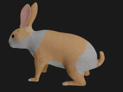 White orange bunny rabbit low poly rigged Low-poly 3D model