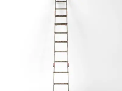 Extendable Work Step Ladder 3D model