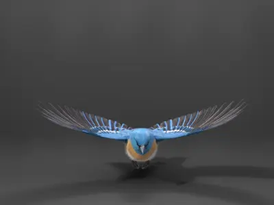 Lazuli Bunting Bird Animated VFX Grace 3D model