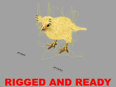  Chick 