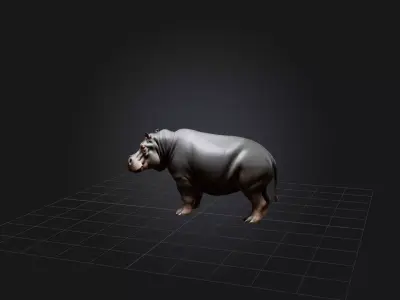 Realistic Hippopotamus Model Low-poly 3D model