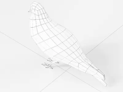 Pigeon bird 3d model Free low-poly 3D model