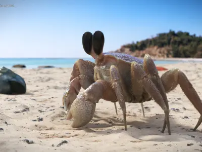  Tropical Ghost Crab Moving Pose Pink Beige Fur 