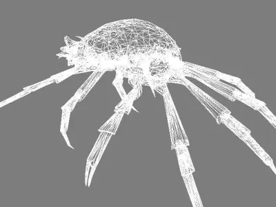 CRAB LOW POLY spider with long legs 3D model
