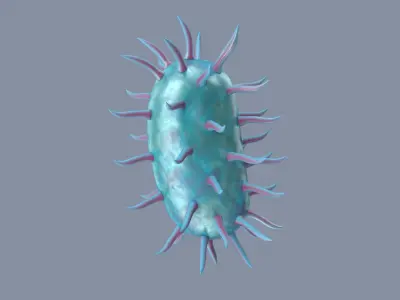 Bacterium 3D model