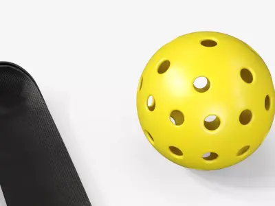 SLK Pickleball Paddle Set with Ball and Bag 3D model purchase