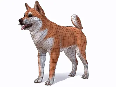 Dog - Akita Inu 3D model
