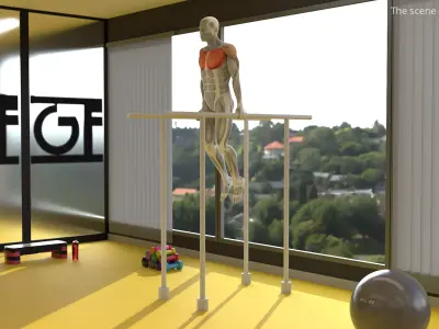 Male Muscular System Chest Dip Animated Rigged 3D model purchase