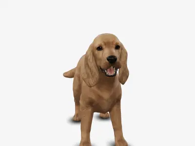 dog cocker spaniel Low-poly 3D model