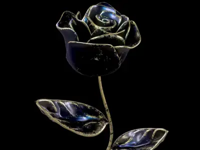 Antique Black Rose 3D model