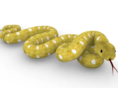 Snake yellow Serpent jaune 3D model
