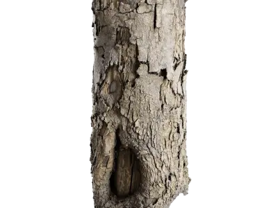  Medium Cut Flaking Conifer Stump Model 